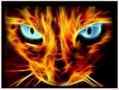 Jan 23 2020 explore oriondurbin26s. Cool Warrior Cat Wallpapers