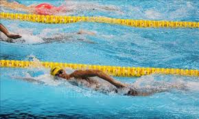 Nó là họ người phổ biến nhất của người việt. Asiad 2018 VÄ'v Nguyá»…n Huy Hoang Gianh Huy ChÆ°Æ¡ng Ä'áº§u Tien Cho BÆ¡i Lá»™i Viá»‡t Nam áº£nh Thá»i Sá»± Trong NÆ°á»›c VÄƒn Hoa Xa Há»™i Thong Táº¥n Xa Viá»‡t Nam Ttxvn