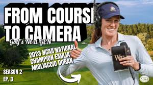 Image result for Emilia juncea