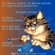 Ein hund ist nicht nur einfach ein tier, welches man sich nach hause holt. Gute Nacht Bilder Hunde Bilder Und Spruche Fur Whatsapp Und Facebook Kostenlos