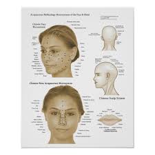 acupuncture reflexology face head microsystems poster