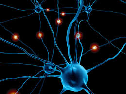 Resultado de imagem para foto cientifica