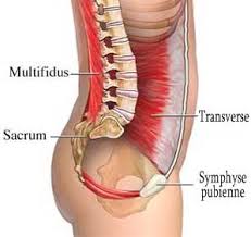 Les muscles sont sensibles et le patient peut avoir des difficultés à faire des mouvements et adopte naturellement une position voûtée. Lombalgie 3 Exercices Pour Soulager Votre Lumbago