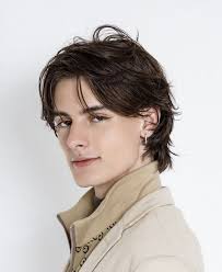 15 Ideas for French Bob Haircut for Men in 2024