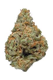 And also those consider as cannaisseurs, the effects of blue dream kush are not only pleasant but also diverse. Super Blue Dream Strain Hybrid Cannabis Review Cbd Thc Hytiva