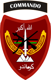 Energy bills could soar under 'green gas' hydrogen homes plan. Afghan National Army Commando Corps Wikipedia