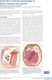 National meeting, an informal poll of the audience revealed many busy gastroenterologists failed to do a rectal. Colic Part 4 Rectal Examination 2 Small Intestine And Caecum Coomer 2007 Companion Animal Wiley Online Library