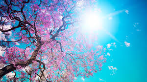 Image result for wallpapers hd