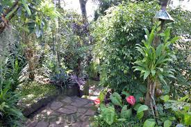 ගෙවතු වගාව නාගරික ගෙවත්තක් නිර්මාණය. Beautiful Kandyan Home Garden In Sri Lanka Picture Design Ideas