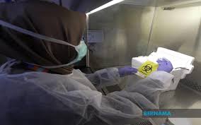 Through the council's promotion of native art, the indigenous people living in the rural areas have an alternative sarawak craft council aims to lead the development and enhancement of the handicraft industry in sarawak. Full Steam Ahead For Sarawak Infectious Disease Centre Project As It Aims To Be Fully Operational By 2024 Borneo Post Online