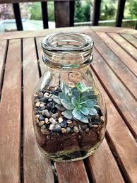 Milk Bottle Succulent Terrarium Bottle Garden Succulent Garden Diy Succulent Terrarium