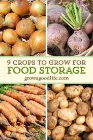 9 Crops To Grow For Food Storage In 2020 Storing Vegetables Winter Food Food