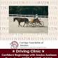 2-Day Driving Clinic with Jessica Axelsson — event image
