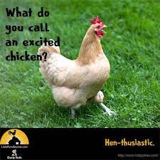 What Do You Call An Excited Chicken Hen Thusiastic Funny Jokes And Riddles Cute Jokes Funny Jokes For Kids