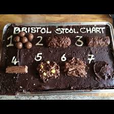 Poo Cake Chocolate Brownie With Bristol Stool Chart