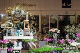 Gartencenter Oosterik Unser Laden Uberraschend Vielseitig Alles Fur Innen Und Aussen