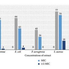 Image result for Endostemon tereticaulis