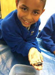 Foundation Academies Annual Report 2020-2021