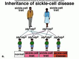 Pin On Sickle Cell Awareness