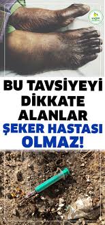 Bu Tavsiyeye Kulak Verenler Seker Hastasi Olma Ihtimalini Cok Aza Indirir Ve Seker Hastasi Olmaz Diyabet Hayatimizi En Olumsuz Etkileyen Hastaliklardan Biridir