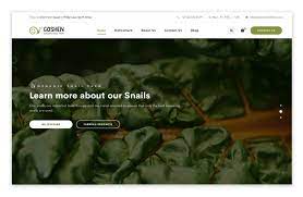 This result falls beyond the top 1m of websites and identifies a large and not optimized web page that may take ages to load. Goshen Snail Farm Media Movement