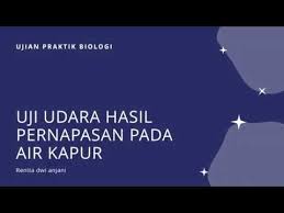Untuk membuktikan bahwa pernapasan menghasilkan h2o dapat dilakukan dengan cara …. Uji Udara Hasil Pernapasan Pada Air Kapur Ujian Praktikum Biologi Youtube
