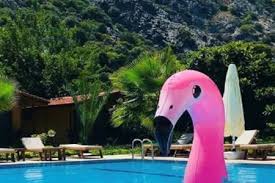 Tesisin bu yıl turizmde yaşanan sıkıntılardan etkilenmekle birlikte doğa ile iç içe sunduğu hizmetler ve aktiviteler ile yüzde 45 dolulukla misafirlerini. Doga Otelleri En Uygun Doga Otelleri Fiyatlari