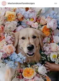 Sheryl Weaver (weaversher)