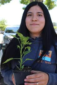 The GNTA shop program has a truck full of tomato and pepper plants for  sale! Proceeds will go toward the program. There are lots of varieties  available, and they're looking great! So