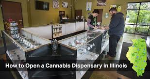 Opening a dispensary requires a lot of considerations, compliance with numerous regulations and a significant amount of capital. How To Open A Cannabis Dispensary In Illinois Leafy Green Agency