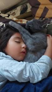 Hellen Vilela Camacho