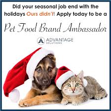 Did Your Seasonal Job End Ours Didn T If You Love Animals Apply Today To Be A Pet Food Brand Ambassador Seasonal Jobs Food Animals Brand Ambassador