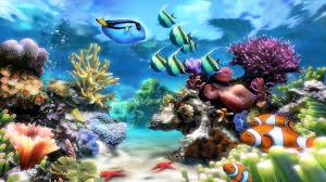 sim aquarium virtual aquarium