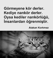 Gormeyene Kor Derler Kediye Nankor Derler Oysa Kediler Nankorlugu Insanlardan Ogrenmistir Atakan Korkmaz Kedi Kitap Deri