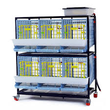 Quail Cage 2 Layer In 2020 Cage Poultry Cage Door Lock System