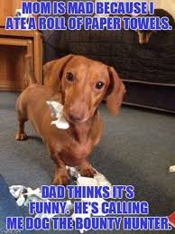 Dog - Meme By Jennifercoleman :) Memedroid