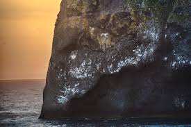 Find local businesses, view maps and get driving directions in google maps. Elephant Head World Criss Crossing