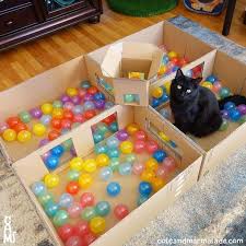 cat ball pit ok ich verstehe dass diese person dies fur ihre katze gemacht hat aber m diese diyforpets gemach brinquedos para caes gatos sheila e
