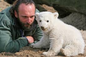 Berlin zoologischer garten station (german: Beruhmte Tiere Aus Dem Zoo Berlin Superstars Von Knut Bis Bobby