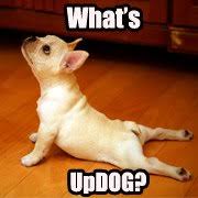 Collection by kelly manuel • last updated 2 weeks ago. Yoga Memes Home Facebook