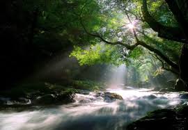 Morning Prayer Other Nature Background Wallpapers On Desktop Nexus Image 1117564 Morning prayer stock photos and images. background wallpapers on desktop nexus