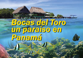Resultado de imagen de IMAGENES DE BOCAS DEL TORO