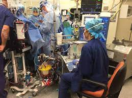Interested In A Career In Perfusion? – Anzcp