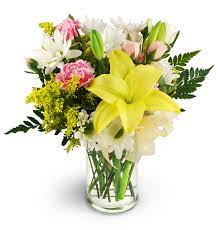 Justfindinfo.com has been visited by 100k+ users in the past month The Prettiest Picture Surprise Az Florist