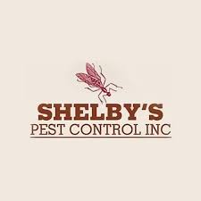 Just southeast of napa is fairfield, often considered to be the midpoint between sacramento the hitmen termite & pest control has been serving the north and east bay areas for more than 40 years, making us solano county's leader in. 5 Best Fairfield Pest Control Companies Expertise Com