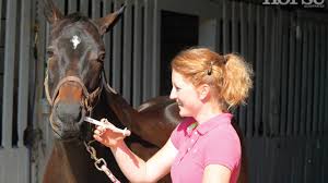 Veterinarians and horse owners need to be more strategic about how to combat and control parasites. The New Equine Deworming Rules Horse Illustrated Magazine