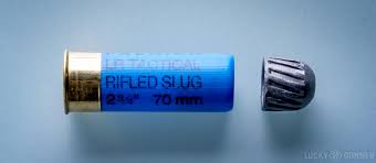 Dbl 0 seems to be the most popular. Shotgun Slugs For Home Defense Lucky Gunner Lounge