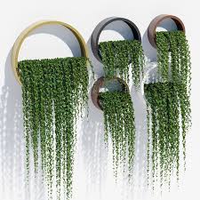 Wand Pflanzer Efeu 3d Modell Max Obj Mtl Fbx Mat 1 Garten Cactus In 2020 House Plants Indoor House Plants Decor Wall Planter