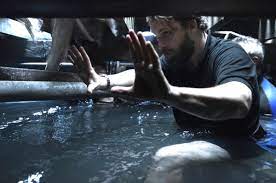He was born in 1970s, in generation x. Alexandre Aja To Follow Crawl With O2 Starring Melanie Laurent