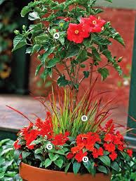 In containers such as this one, the flowers hide the base of the grass and can be switched out as blooms fade. 36 Container Garden Recipes For A Stunning Display Container Flowers Garden Containers Container Plants